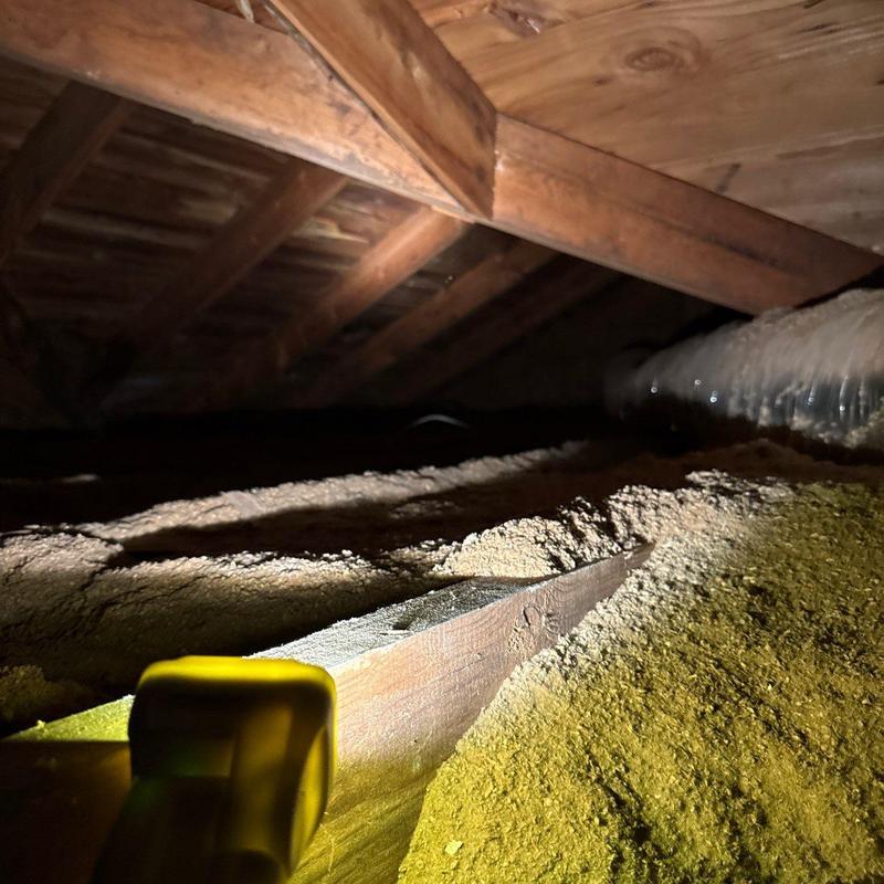 Attic insulation and wooden roof framing inspection