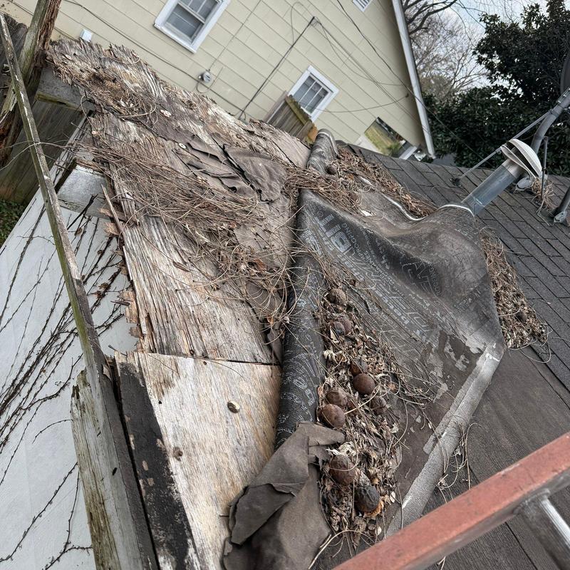 Roof decking with deteriorated underlayment and debris buildup