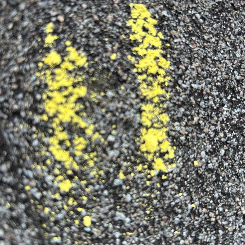 Roof shingles with yellow chalk hail damage marking