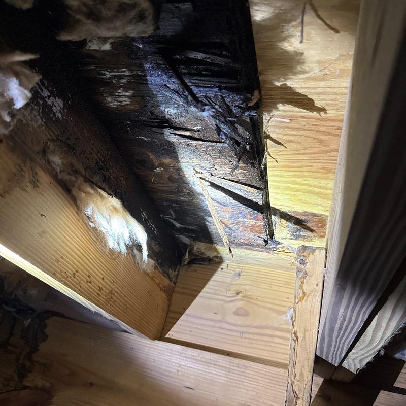 Water-damaged wood framing with new wood replacement