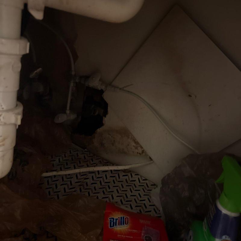 Sink plumbing and rotted wood framing with water damage