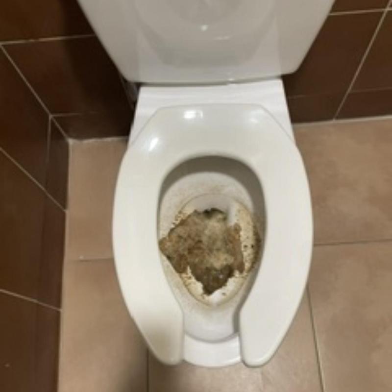 Toilet bowl clogged with debris inside, tile floor background Toilet bowl clogged with debris inside, tile floor background