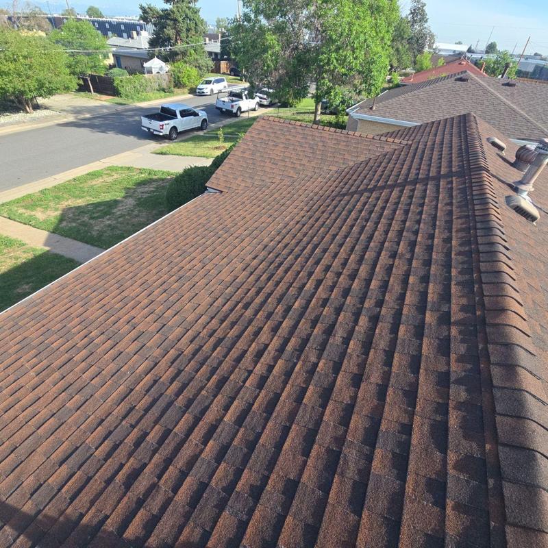 Shingle roof hail inspection showing damage on slopes Shingle roof hail inspection showing damage on slopes