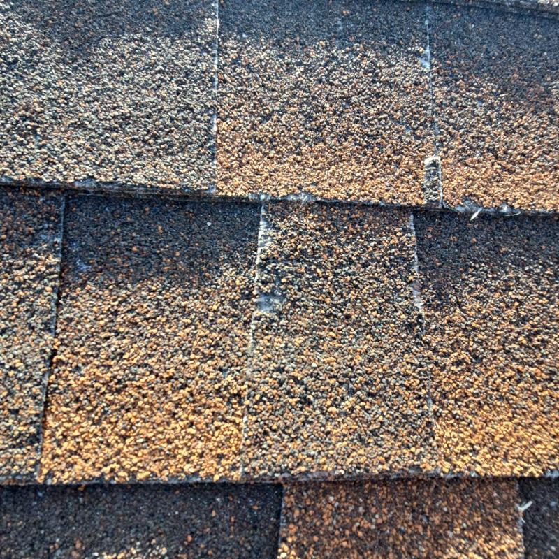 Shingle roof granule loss from hail damage close-up Shingle roof granule loss from hail damage close-up