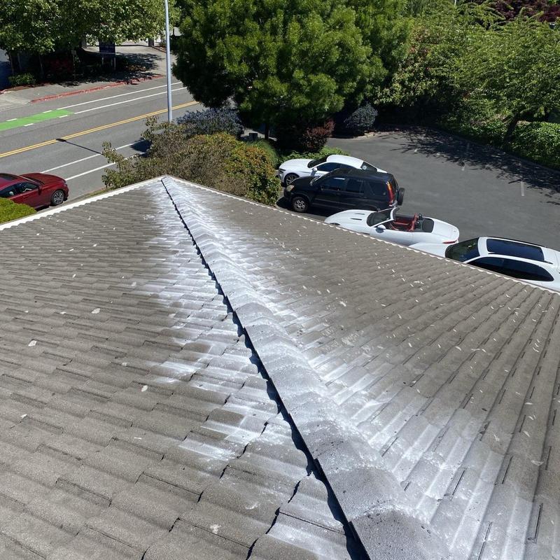 Roof tiles with moss treatment and cleaning residue