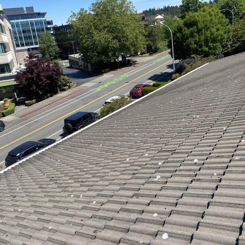 Tile roof with moss and debris buildup before cleaning