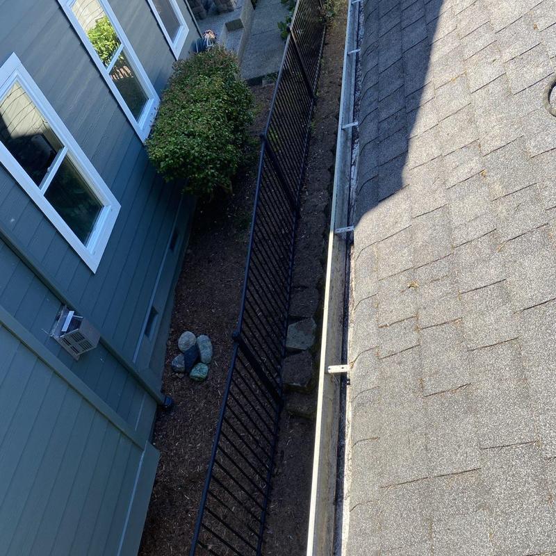 Roof shingles and gutter cleaned with moss treatment