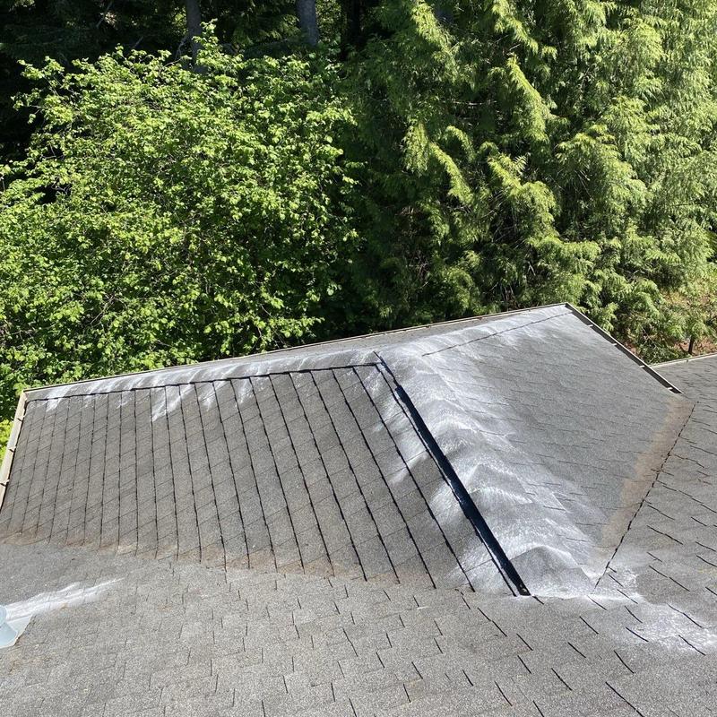 Asphalt shingle roof with moss treatment and cleaning