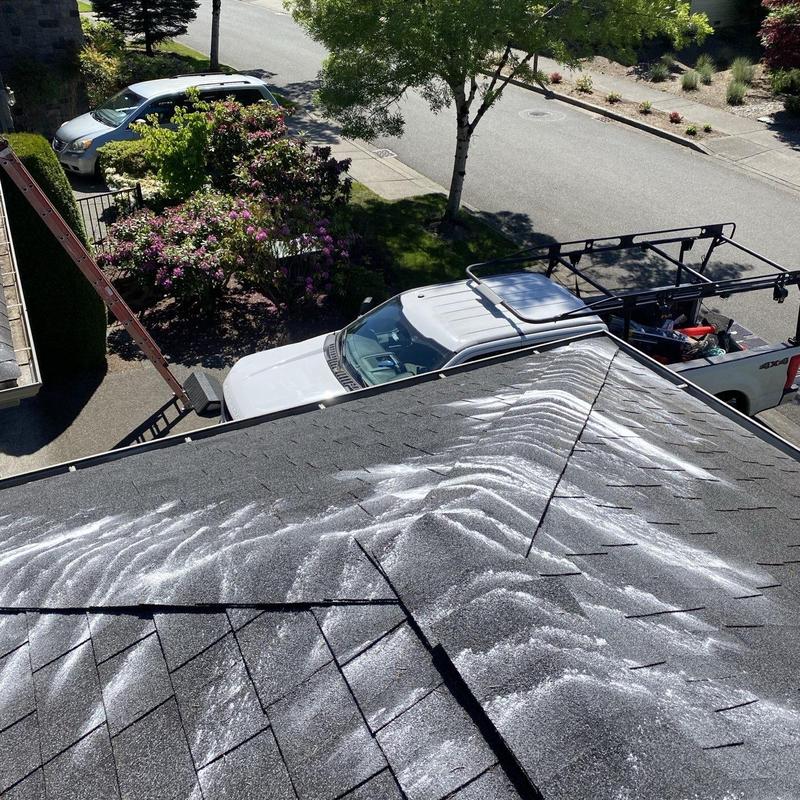 Asphalt shingle roof with moss treatment application