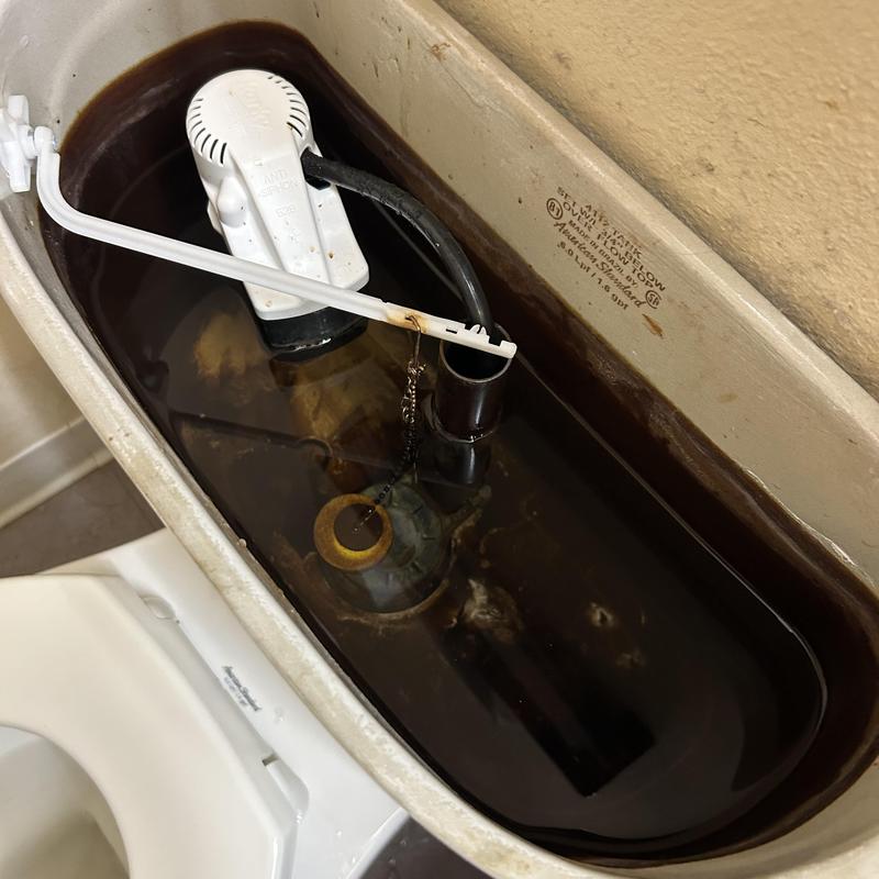 Toilet tank interior with water discoloration and components Toilet tank interior with water discoloration and components