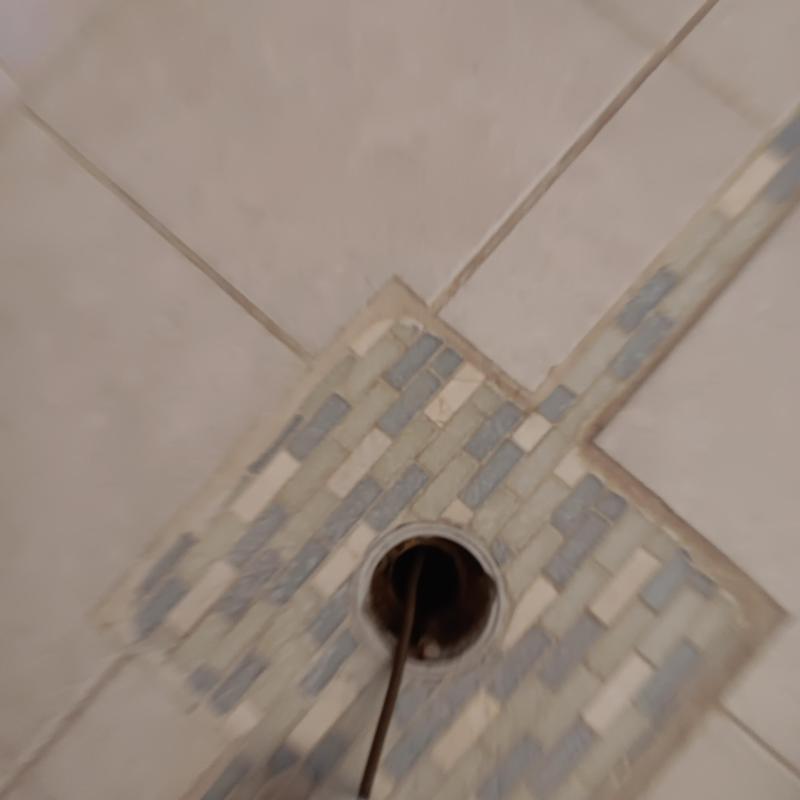 Shower drain line with plumbing snake tool inserted