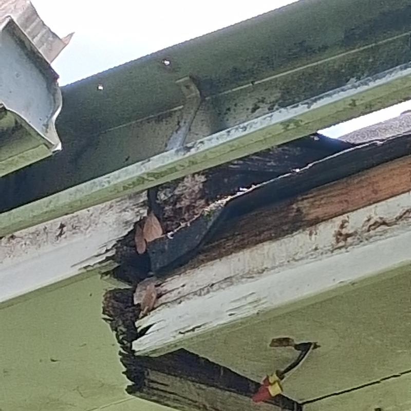 Soffit and fascia wood rot damage on roof edge