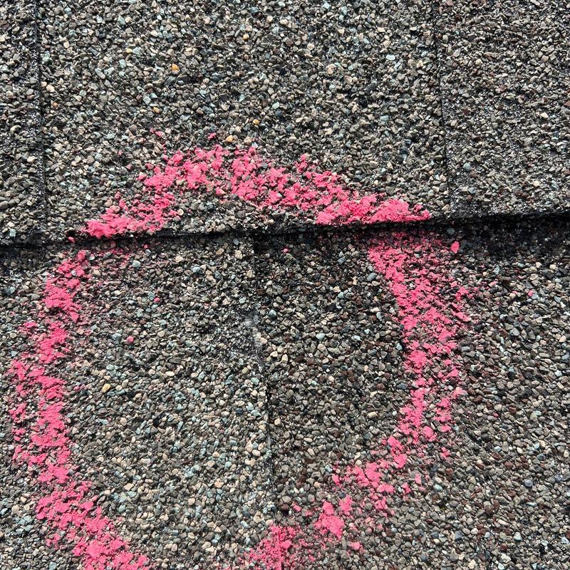 Shingle roof with hail damage circled in pink spray paint Shingle roof with hail damage circled in pink spray paint