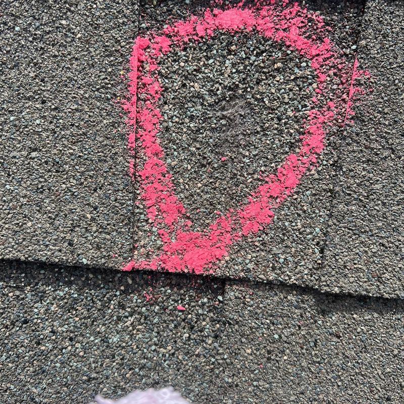 Asphalt shingle roof with hail damage circled in pink Asphalt shingle roof with hail damage circled in pink