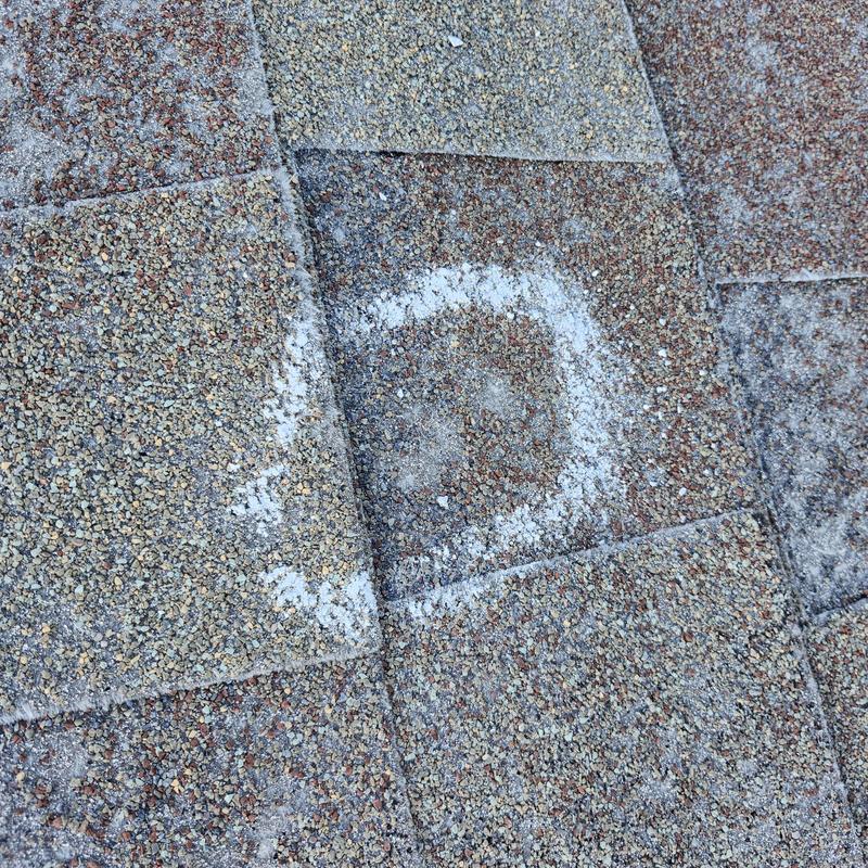 Roof shingle with chalk-marked hail damage inspection Roof shingle with chalk-marked hail damage inspection