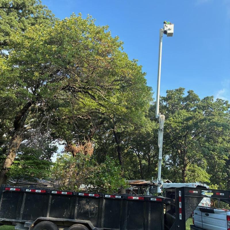 Bucket truck tree trimming over home roof Bucket truck tree trimming over home roof
