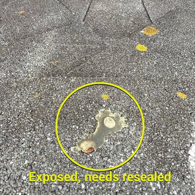 Asphalt shingle hail damage with exposed repair area