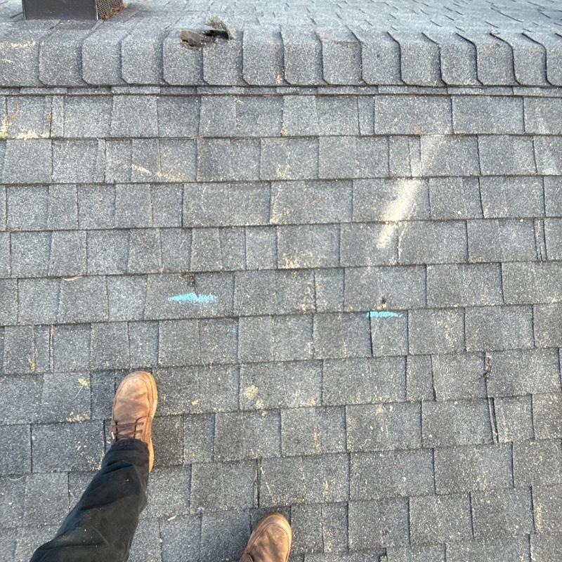 Asphalt shingle roof with hail damage markings