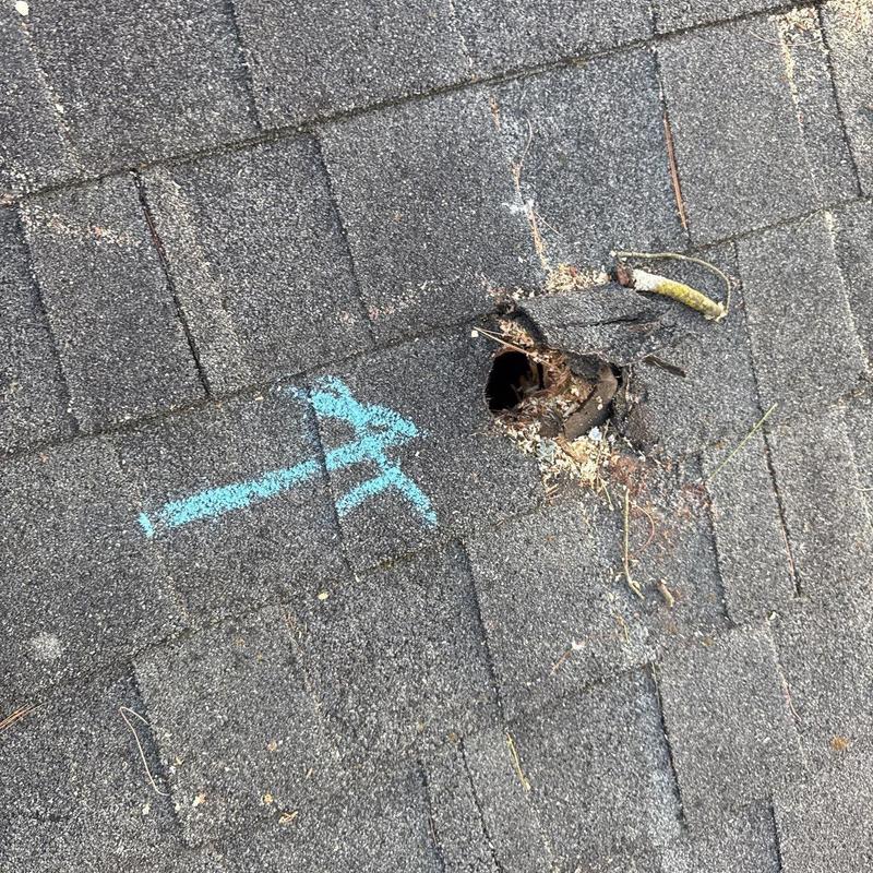 Asphalt shingle roof with damaged vent flashing hole