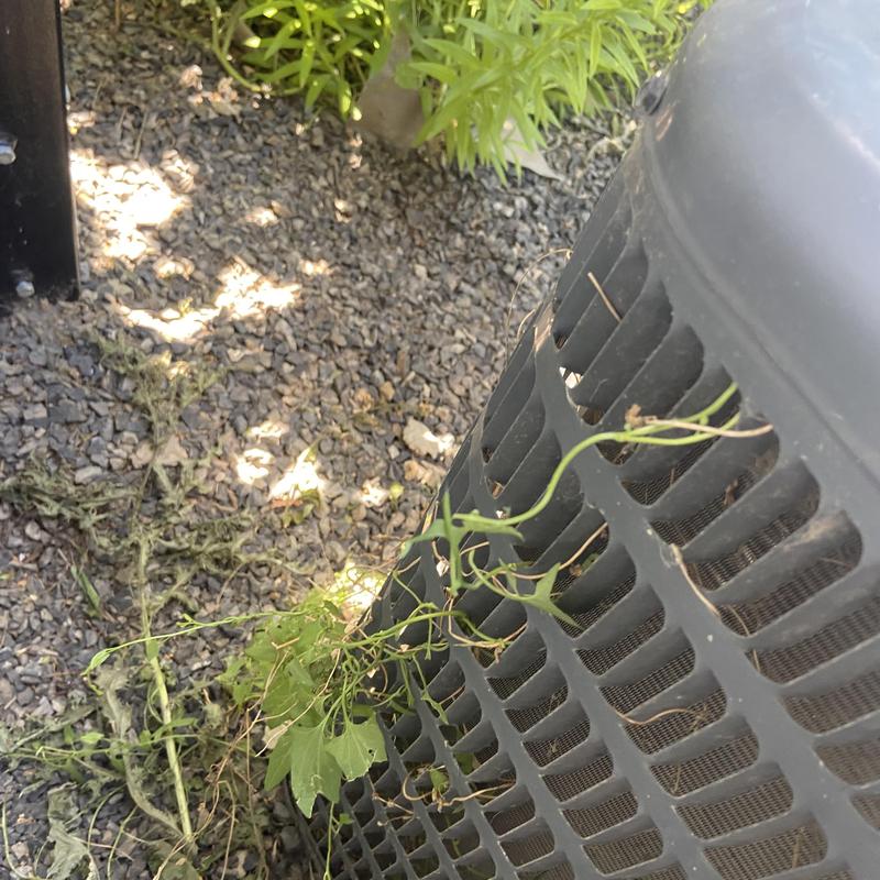 HVAC condenser unit exterior with plant debris buildup HVAC condenser unit exterior with plant debris buildup