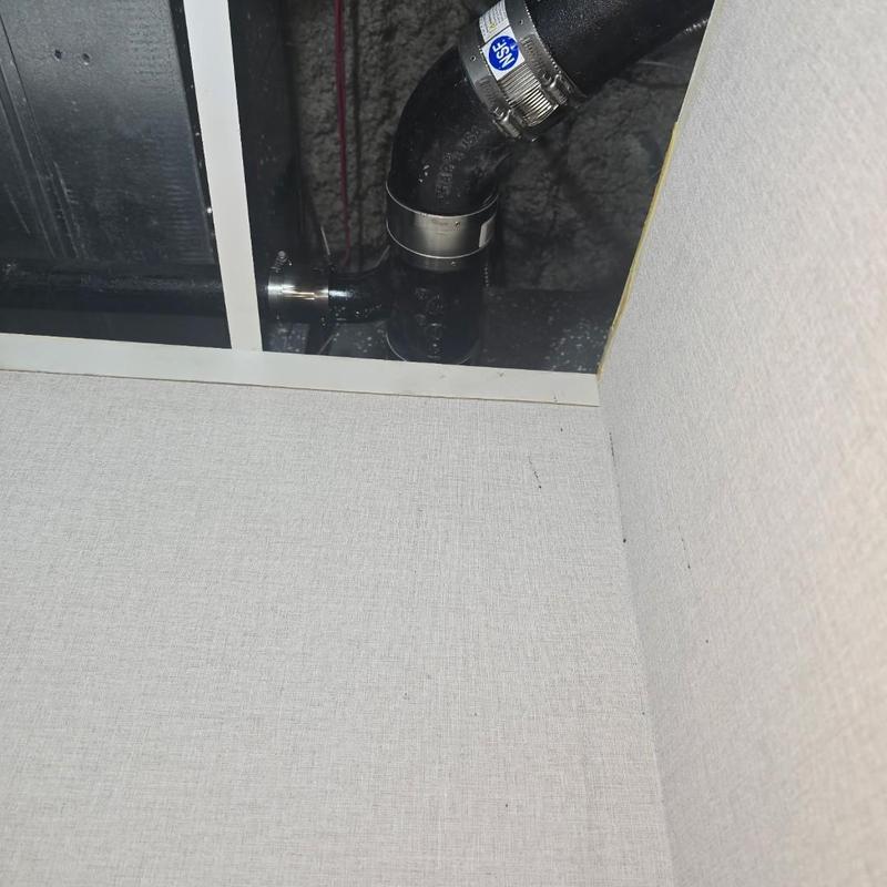Cast iron pipe overhead tied into main stack ceiling