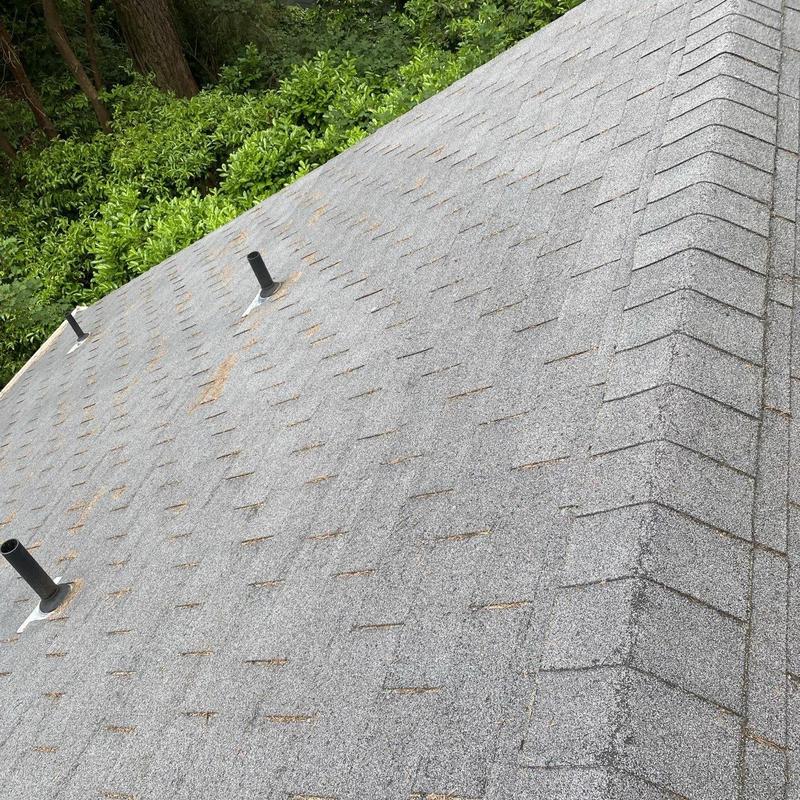 Asphalt shingle roof with vent pipes and surrounding trees