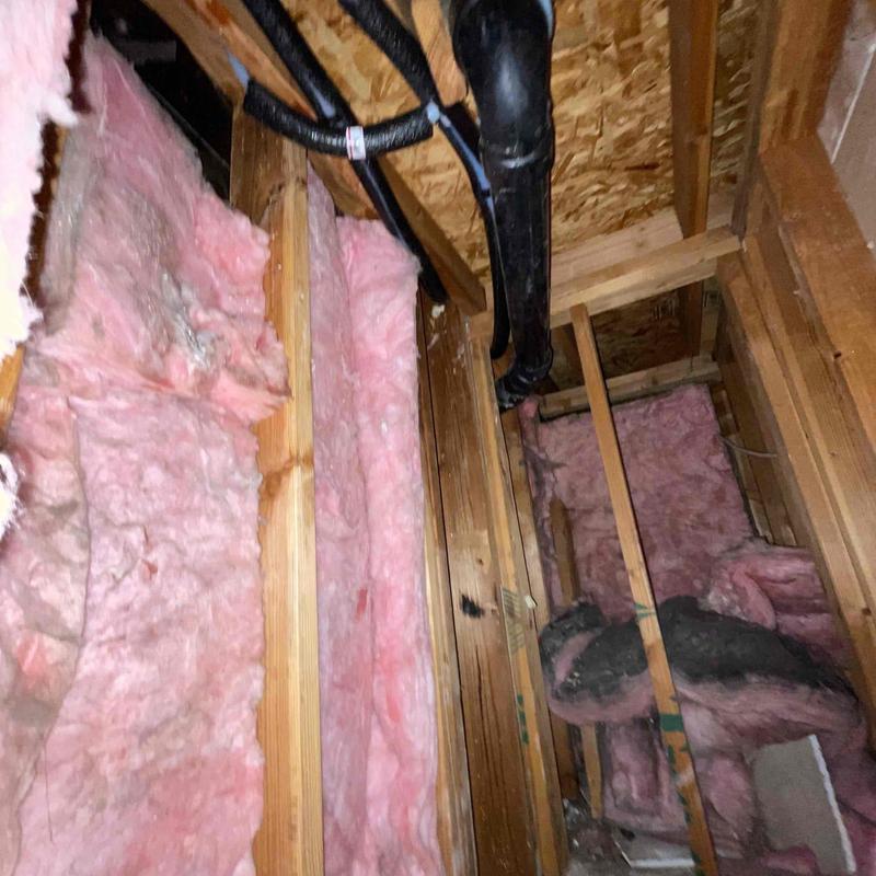 Hot and cold water supply pipes inside wall framing Hot and cold water supply pipes inside wall framing