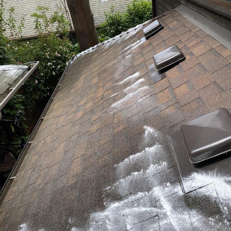 Roof shingles with moss treatment applied