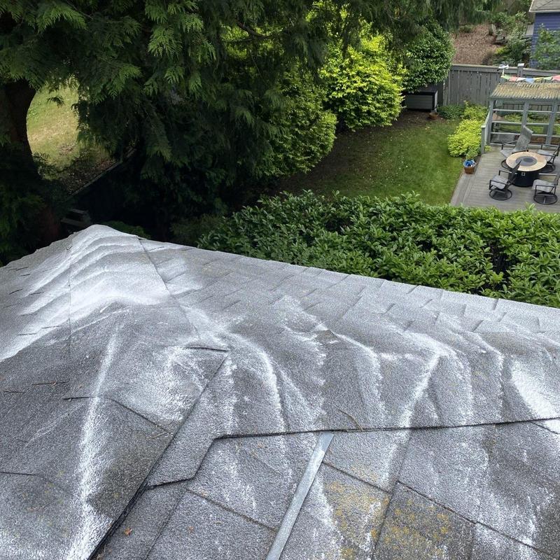Roof moss treatment on asphalt shingles in Seattle