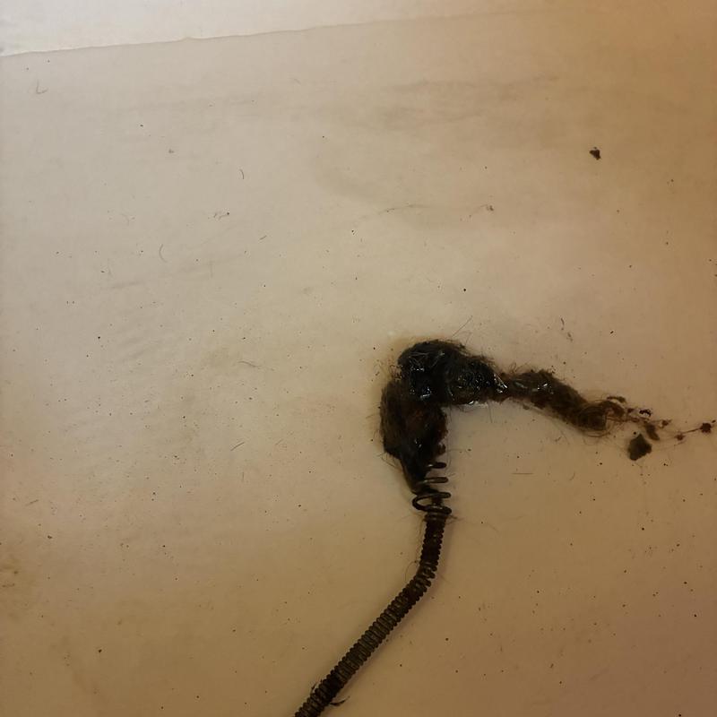 Bathtub drain hair clog on cleaning spring tool