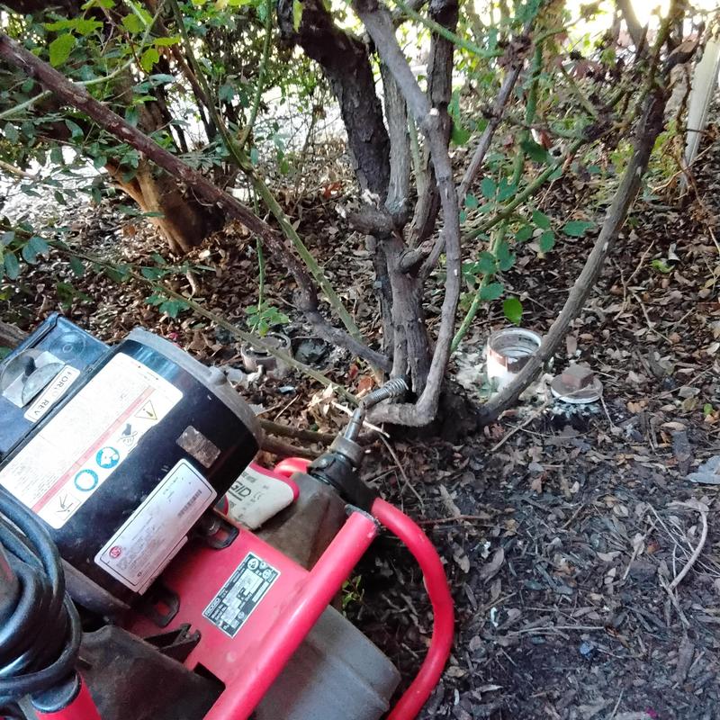 Main sewer line clearing with drain auger in yard