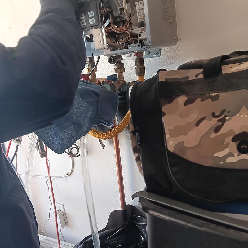 Tankless water heater burner assembly cleaning and flushing