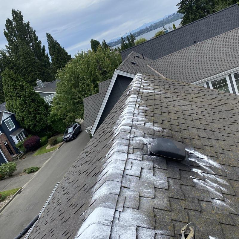 Asphalt shingle roof with moss treatment and cleaning