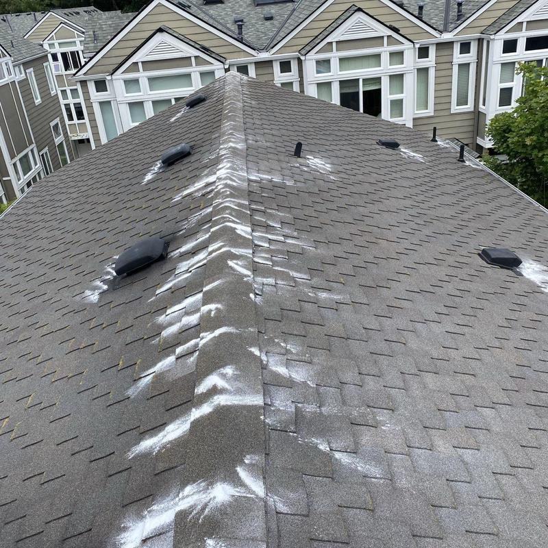 Asphalt shingle roof with moss treatment and cleaning
