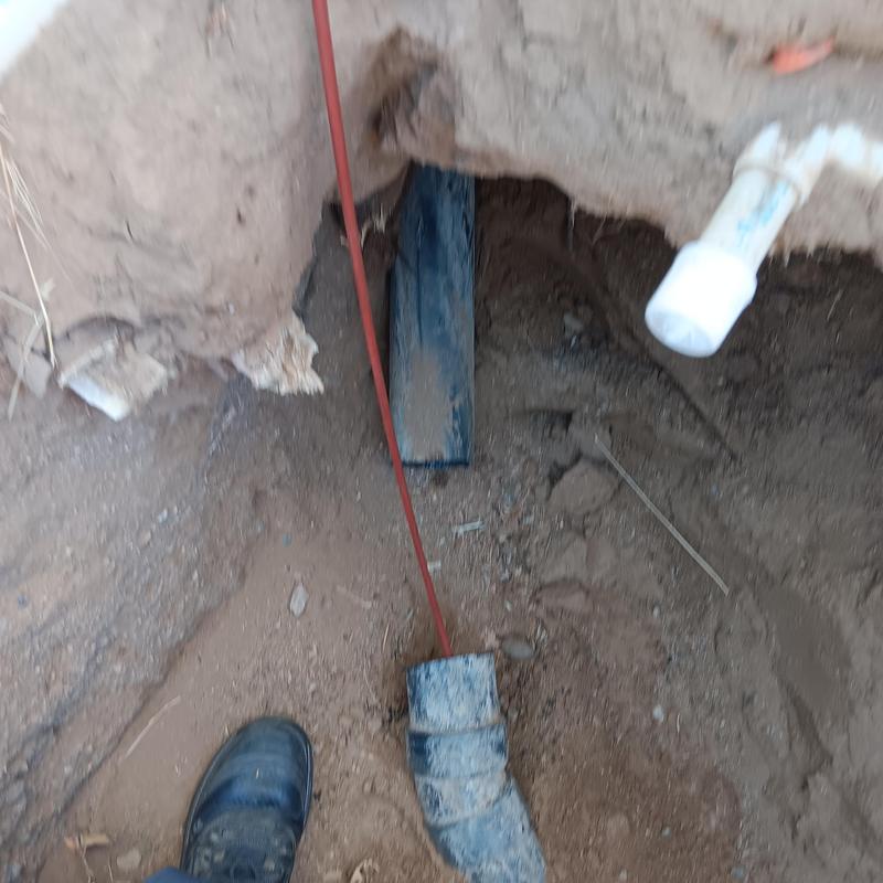 Sewer line with root damage exposed in dirt trench