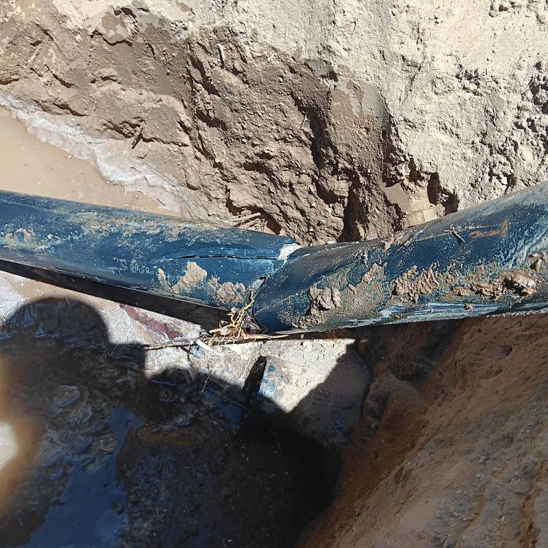 Broken sewer pipe with root damage in dirt trench