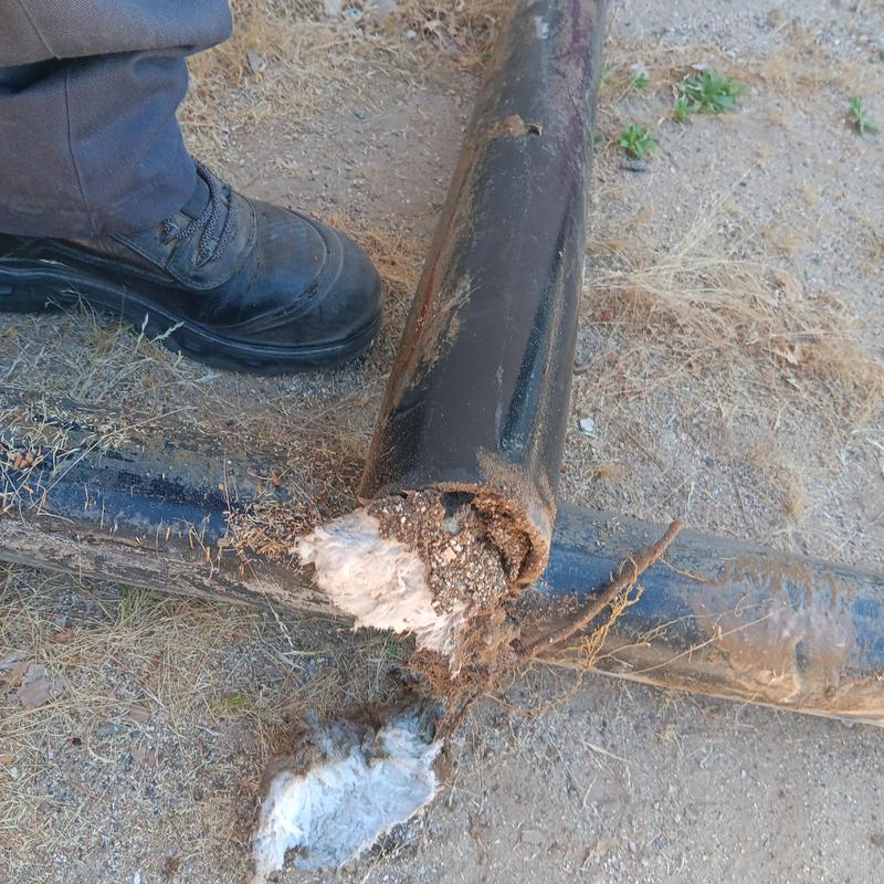 Broken sewer pipe with root infestation on dirt ground