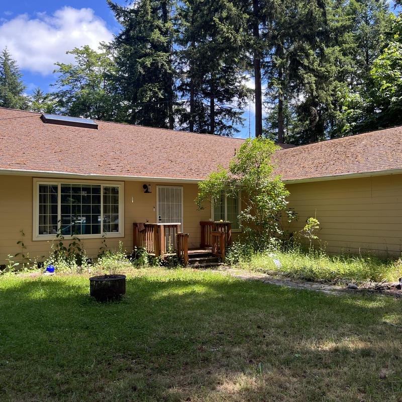 Roof shingles with moss and debris buildup Roof shingles with moss and debris buildup
