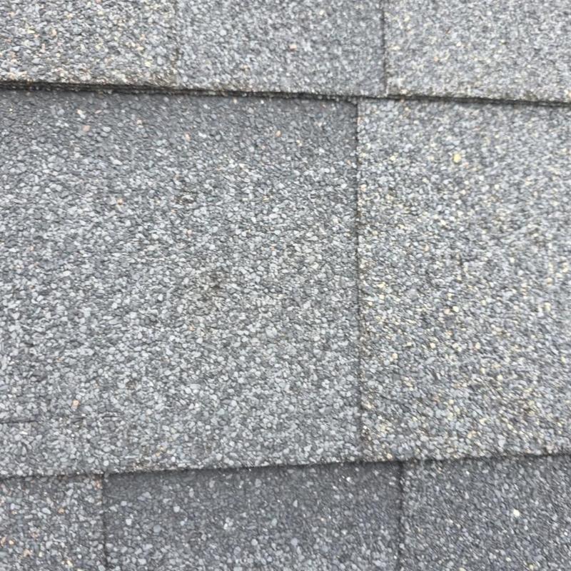 Architectural shingles close-up showing surface granule loss