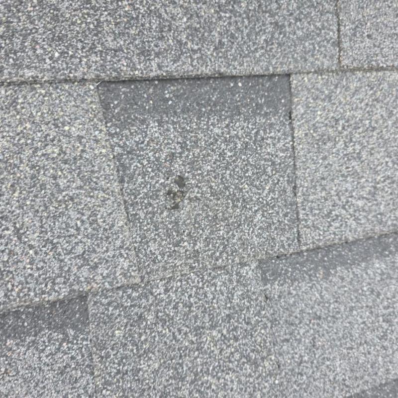 Architectural shingle with hail impact damage close-up