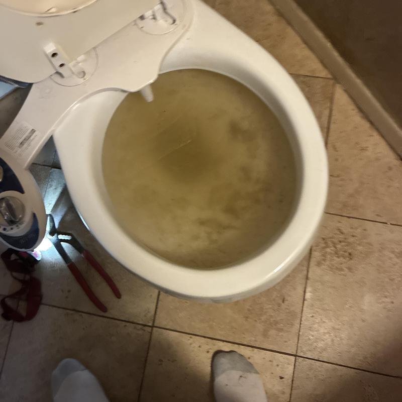 Toilet bowl with clogged, murky water blockage Toilet bowl with clogged, murky water blockage