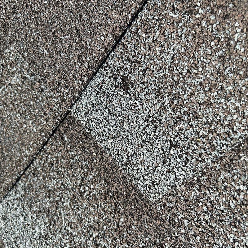 Roof shingles with hail damage and granule loss