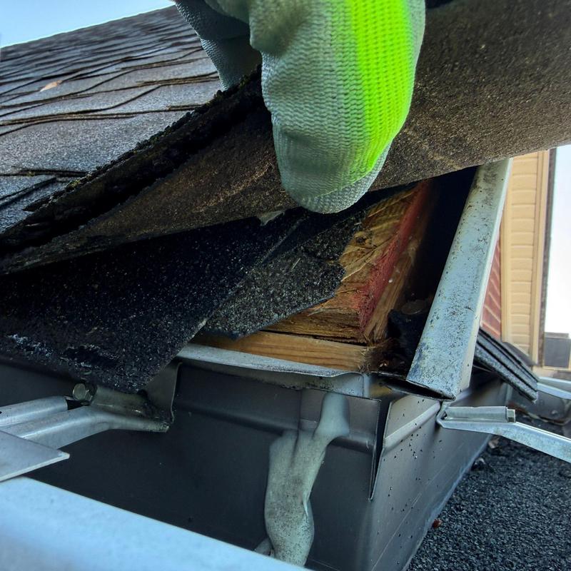 Roof shingles lifted exposing wood decking and gutter edge