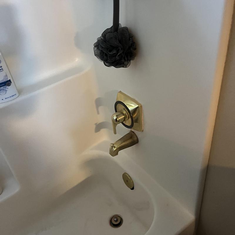 Bathtub faucet and valve with black shower pouf Bathtub faucet and valve with black shower pouf