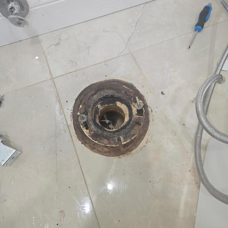 Kohler skirted toilet flange and wax ring replacement
