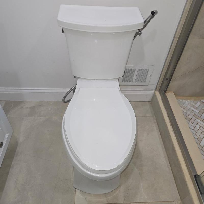 Kohler skirted one-piece toilet reset with new wax ring