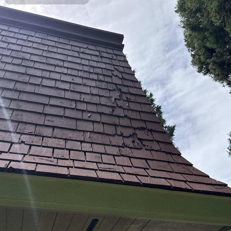 Wood shingle roof with damaged and curling shingles