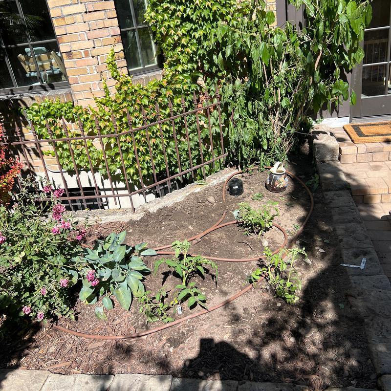 Sewer line excavation and backfill in garden bed Sewer line excavation and backfill in garden bed