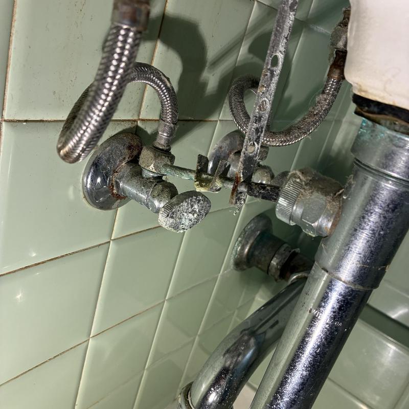 Toilet fill valve and basin faucet plumbing repair