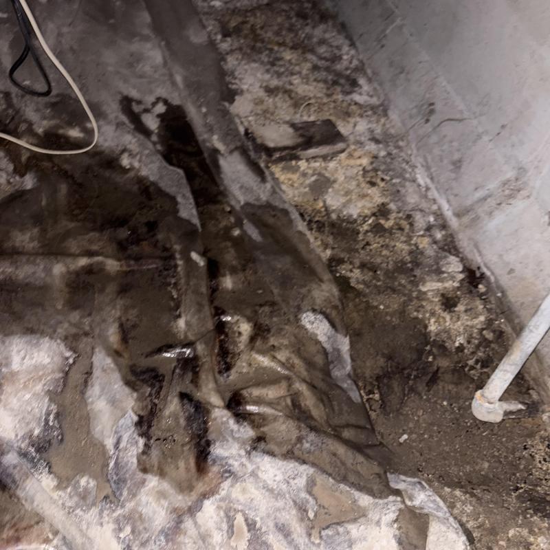 Basement floor with water damage and mold buildup Basement floor with water damage and mold buildup